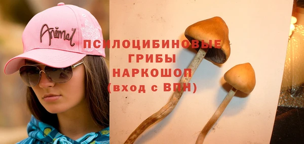 прущие крисы Баксан