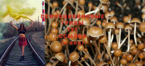 прущие крисы Баксан