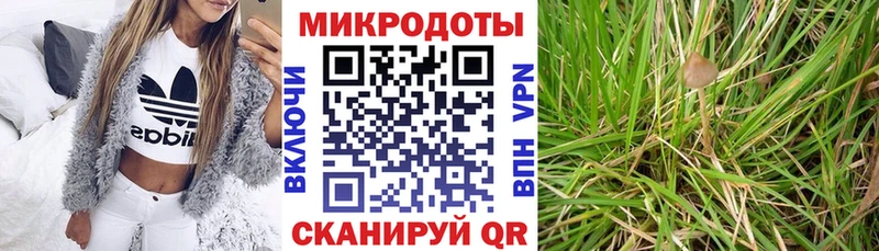 дарнет шоп  Верхняя Тура  блэк спрут как войти  Псилоцибиновые грибы GOLDEN TEACHER 